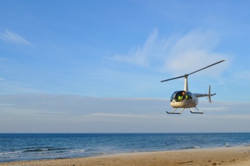 航空出票员招聘(航空票务人员招聘骗局)